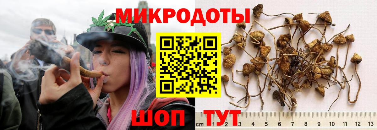 продажа наркотиков  Псилоцибиновые грибы мухоморы  Вход с VPN  Нижневартовск 