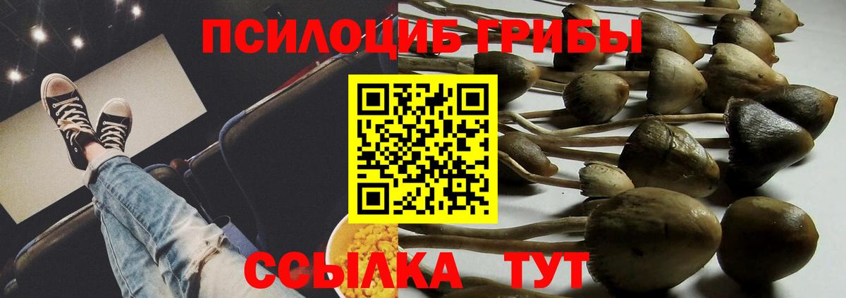 Псилоцибиновые грибы ЛСД Нижневартовск